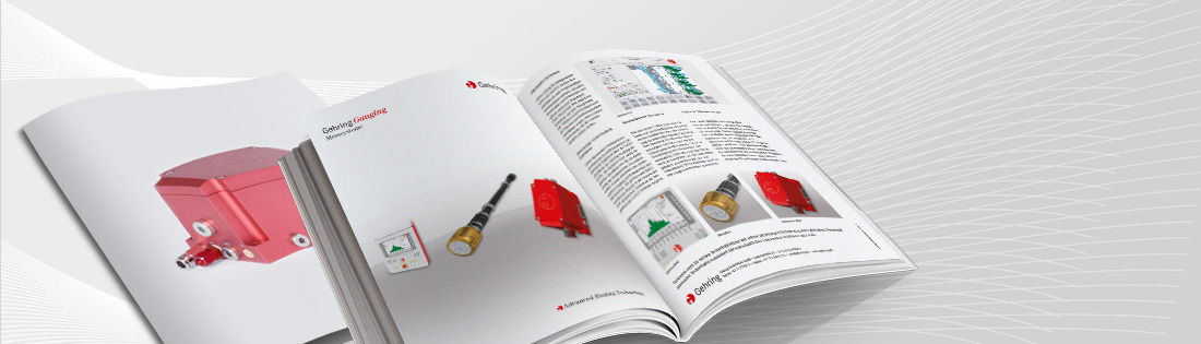 Brochure Gauging Systems 